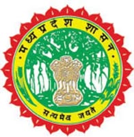 MP Forest